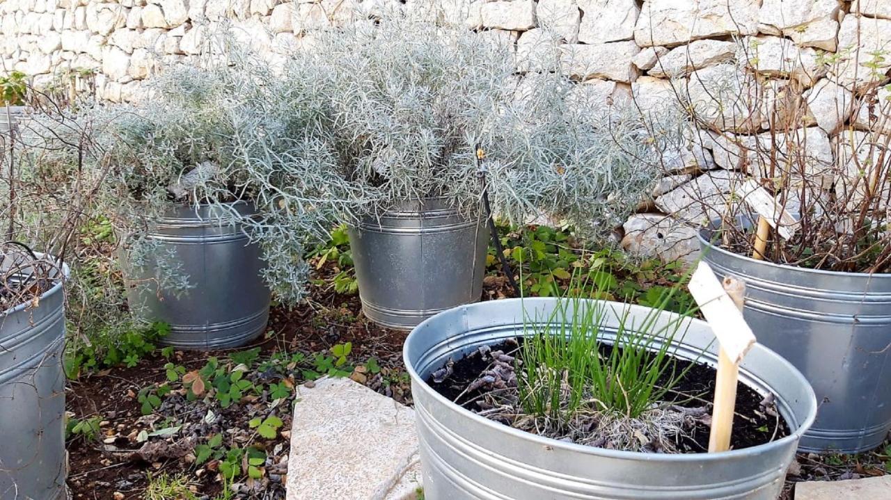 Casina Dei Preti Βίλα Κονβερσάνο Εξωτερικό φωτογραφία
